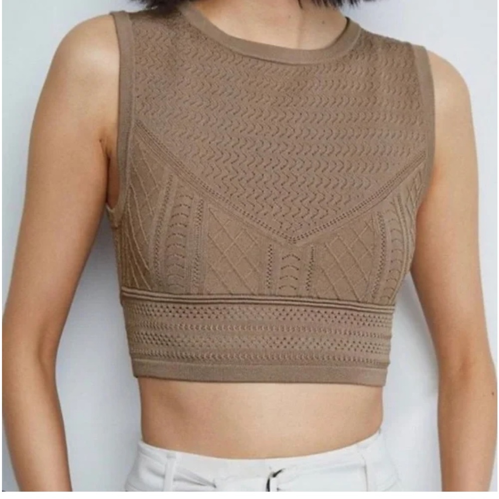 Aritzia Babaton Pointelle Top